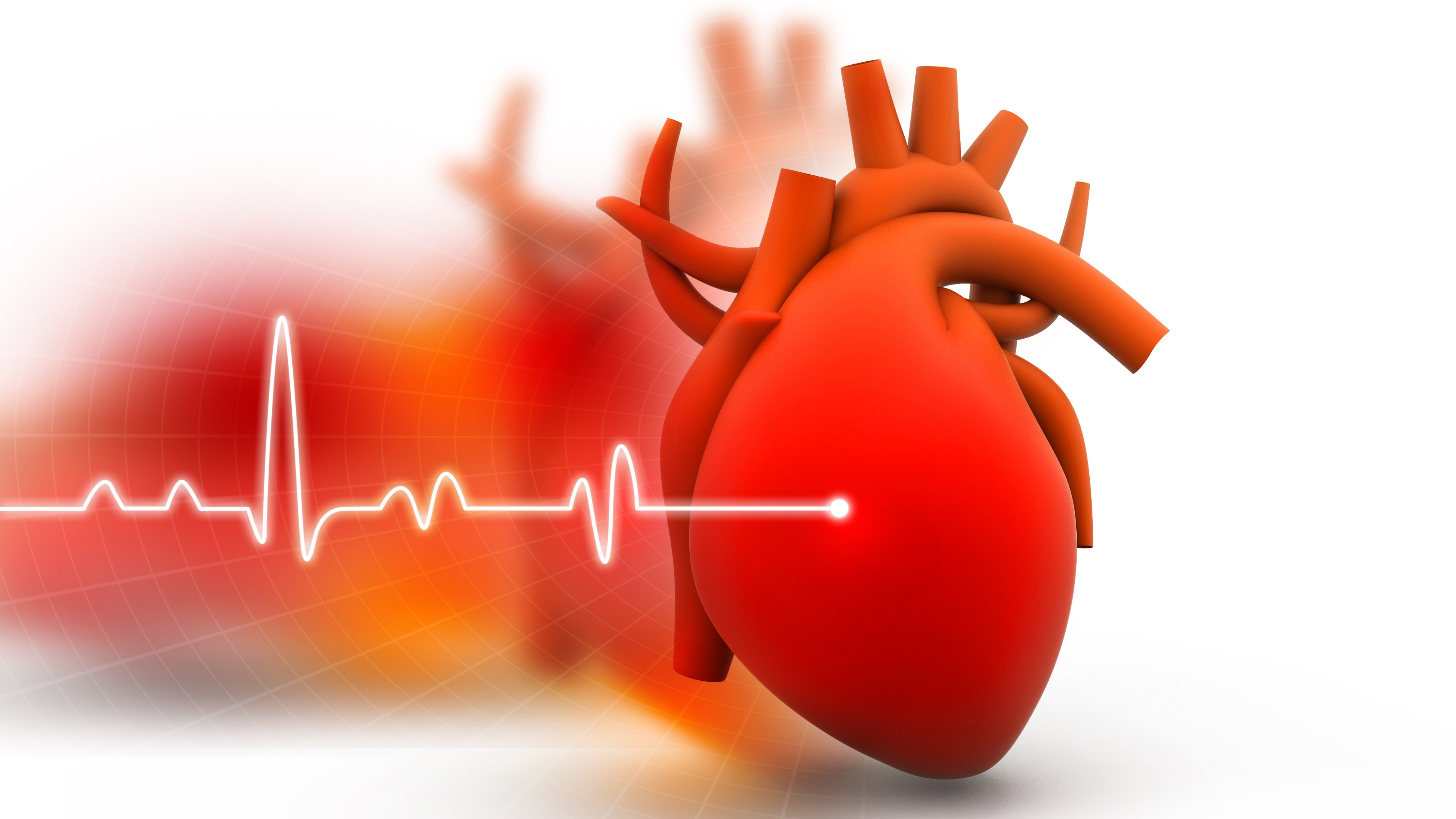 Why is a high HDL score good for heart?