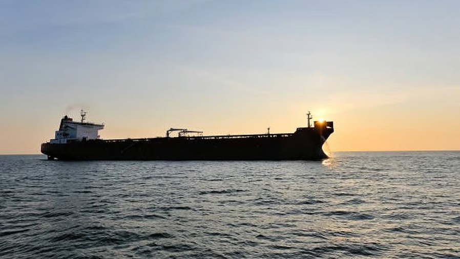 More Indian flagged vessels prepared to sail through Strait of Hormuz: Govt 