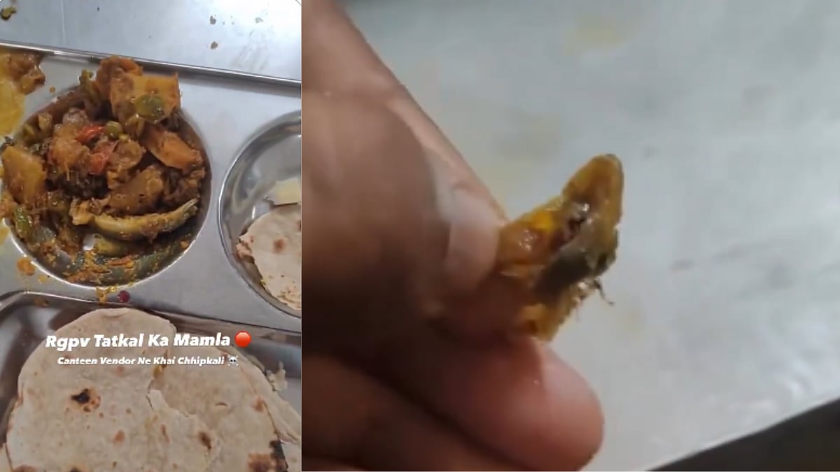 Bhopal Student Finds Lizard in Food, Canteen Staff Eats It to Dispute Claim