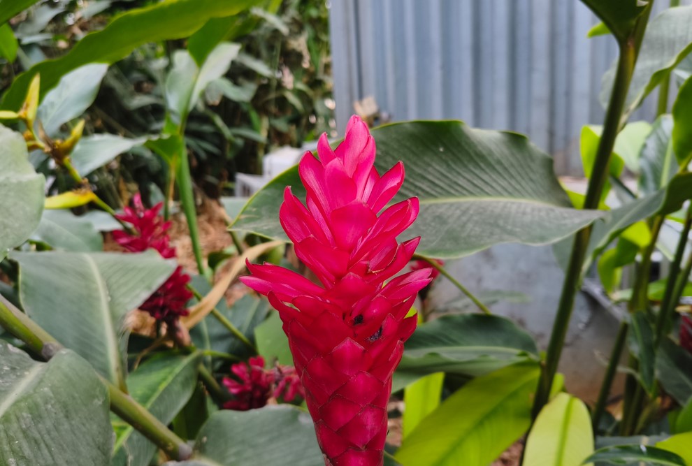 Poco X8 Pro Max's camera sample.