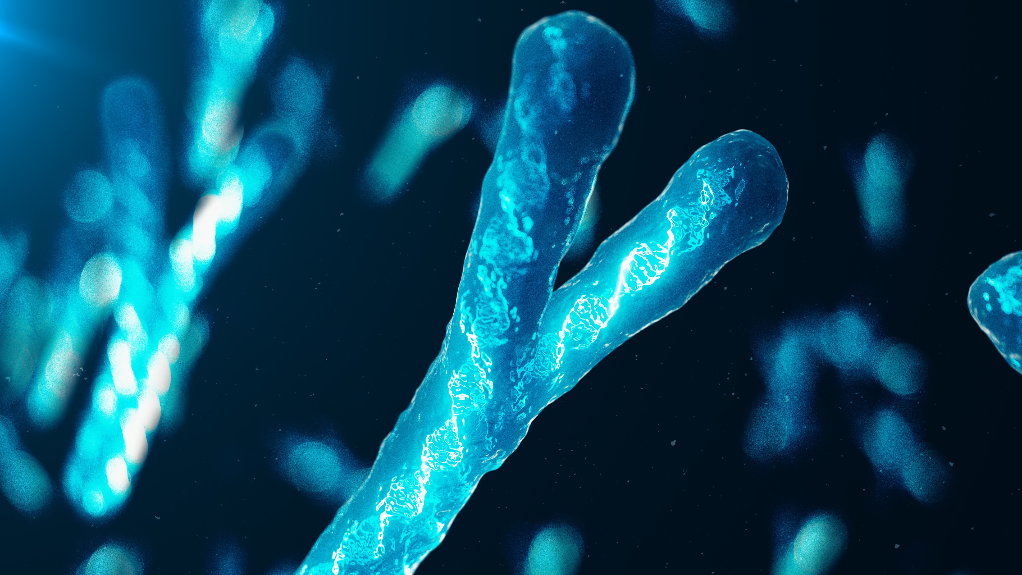 Loss of Y chromosomes in elderly men is not harmless, say experts