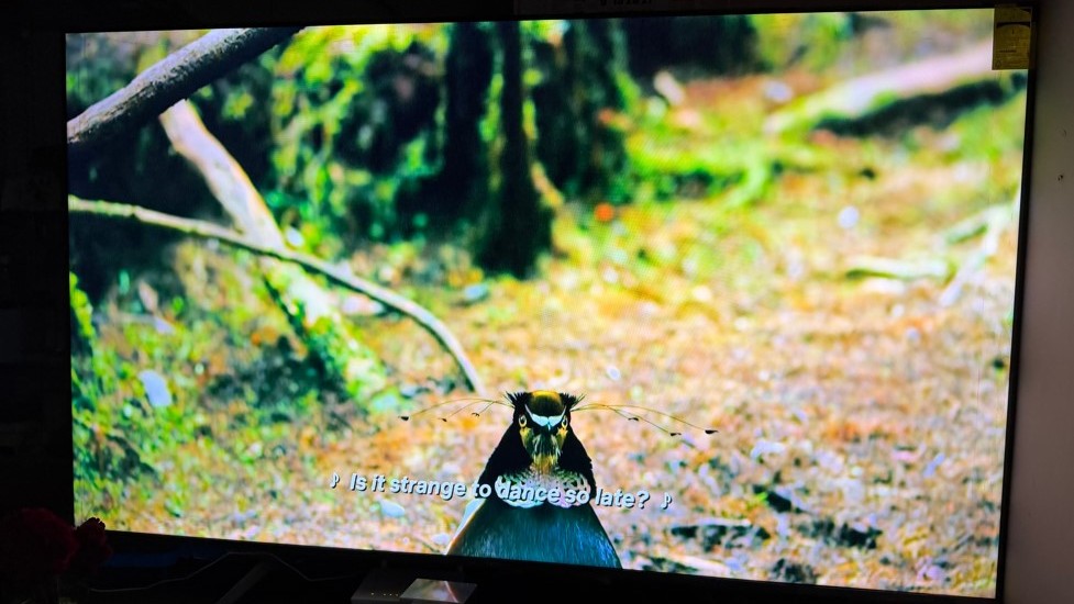 Xiaomi QLED X Pro 75 Review: Top-class 4K smart TV