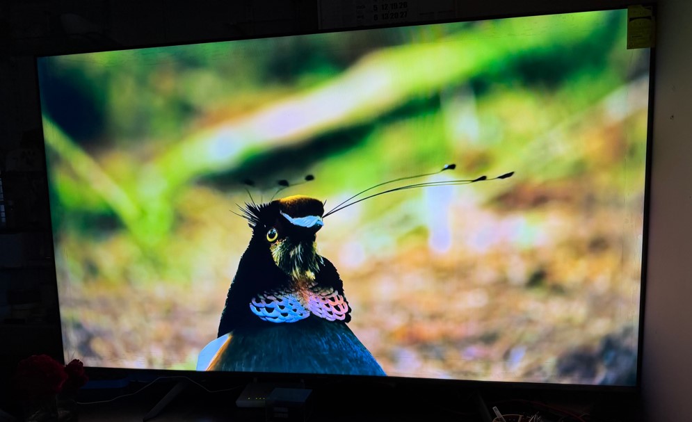 Xiaomi QLED X Pro 75.