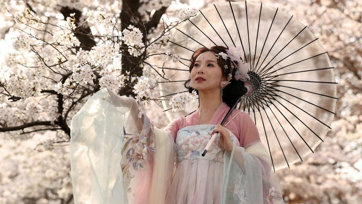 Woman in a Chinese dress with cherry blossoms in Washington.
