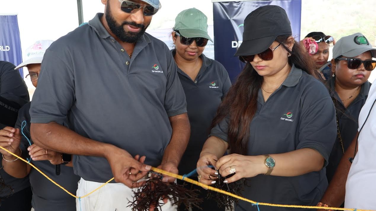 Seaweed farming boosts coastal livelihoods in Maharashtra's Raigad