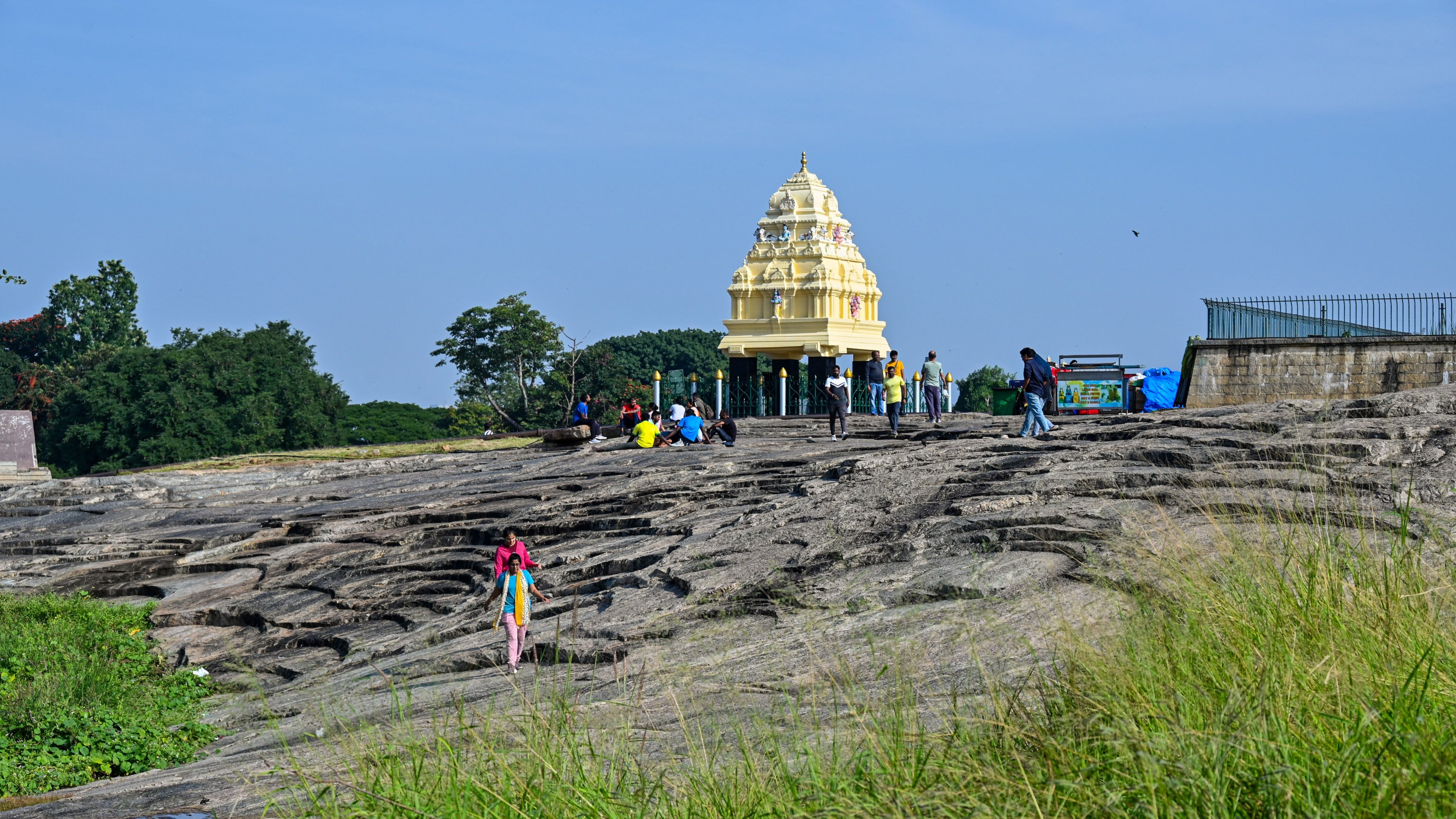 GSI sets up expert panel to study tunnel impact on Bengaluru's Lalbagh Botanical Garden