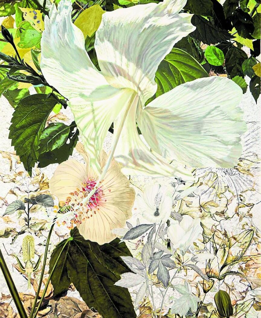 A few of the works on display at the exhibition. 