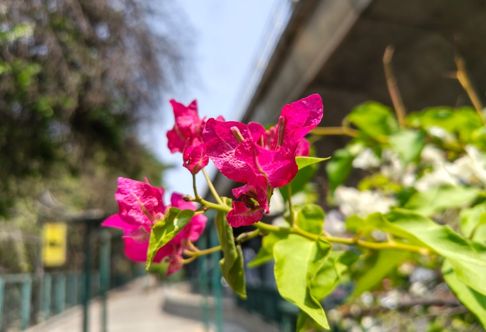 Motorola Edge 70 Fusion's camera sample.