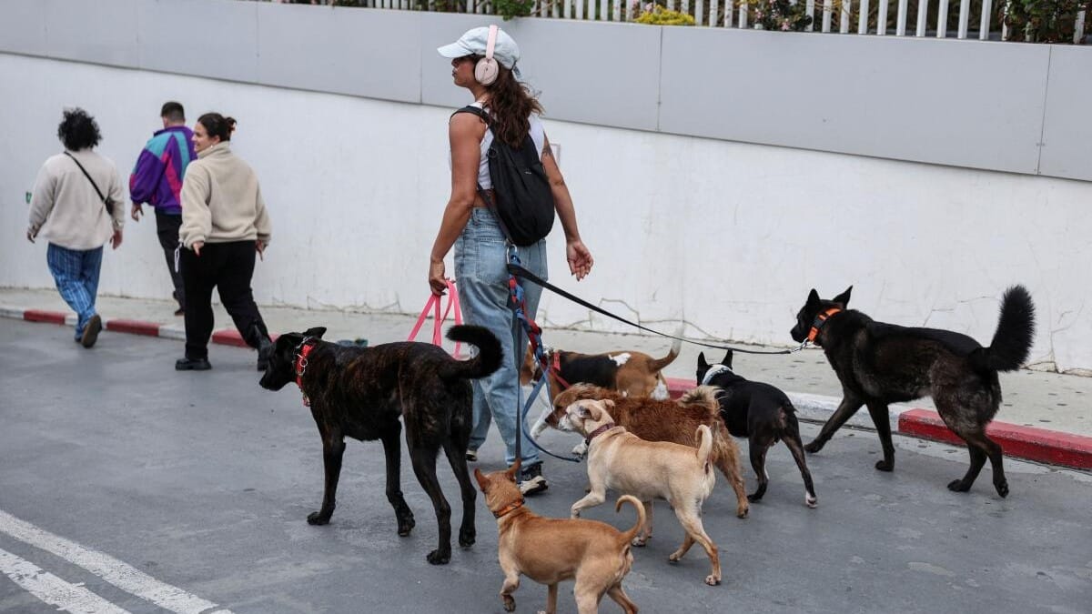 A person walks dogs towards an underground parking lot to take cover as sirens sounded in Tel Aviv, Israel.