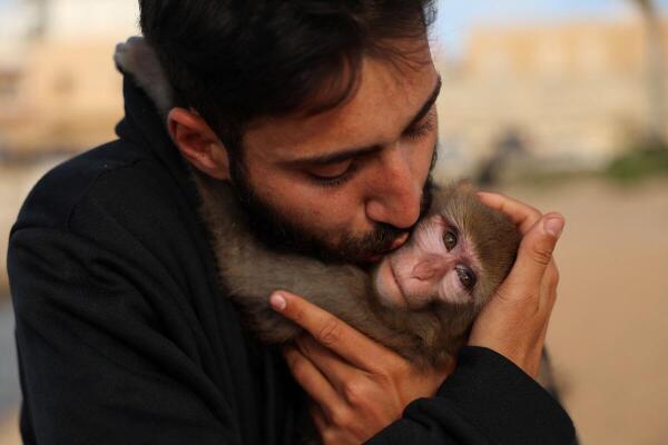 Hussein Ghzayele (22), kisses his pet monkey Sandra, amid escalating hostilities between Israel and Hezbollah, as the U.S.-Israel conflict with Iran continues, in Tyre, Lebanon.