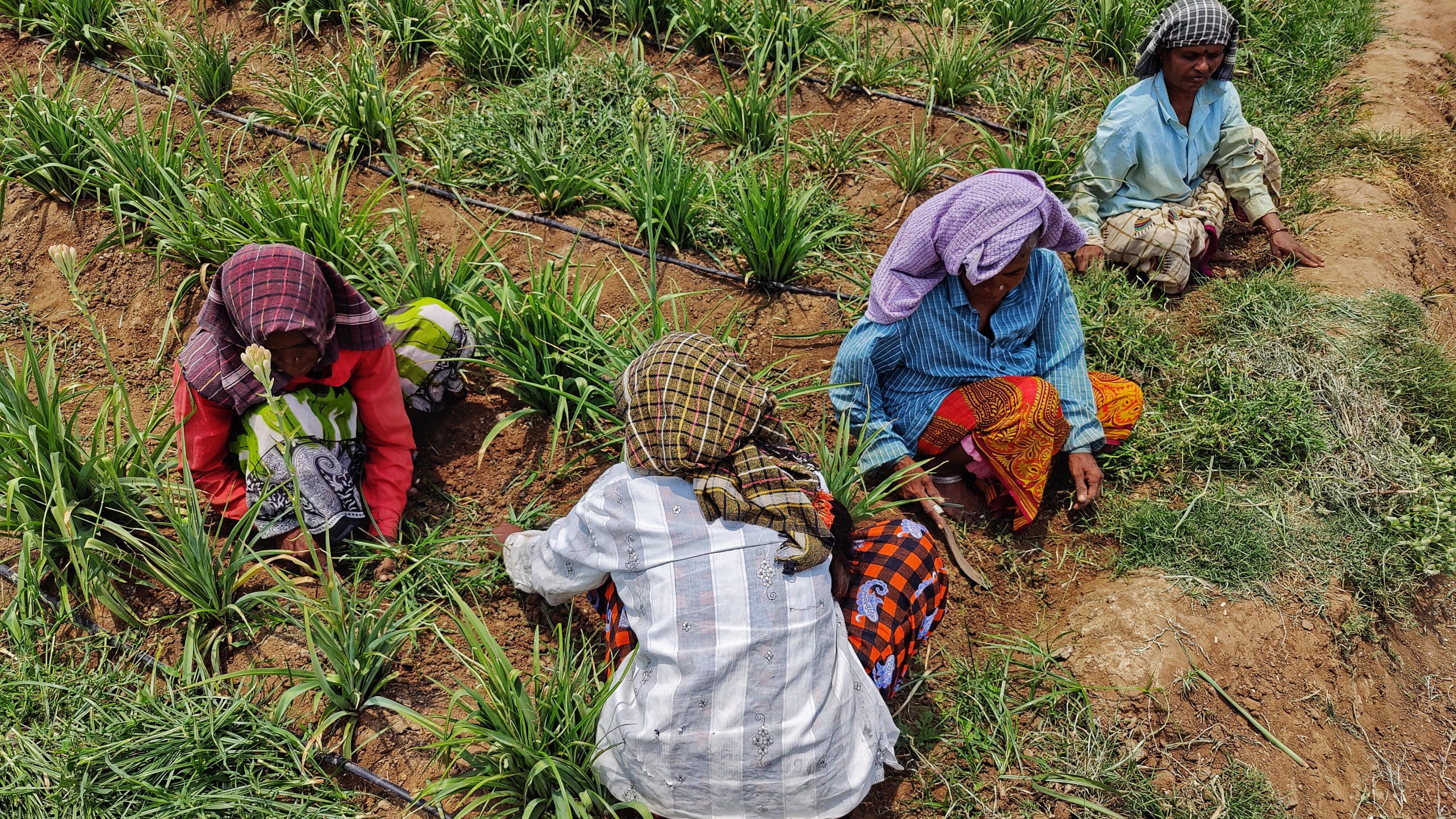 Woven into life: The quiet legacy of Haigala Meli