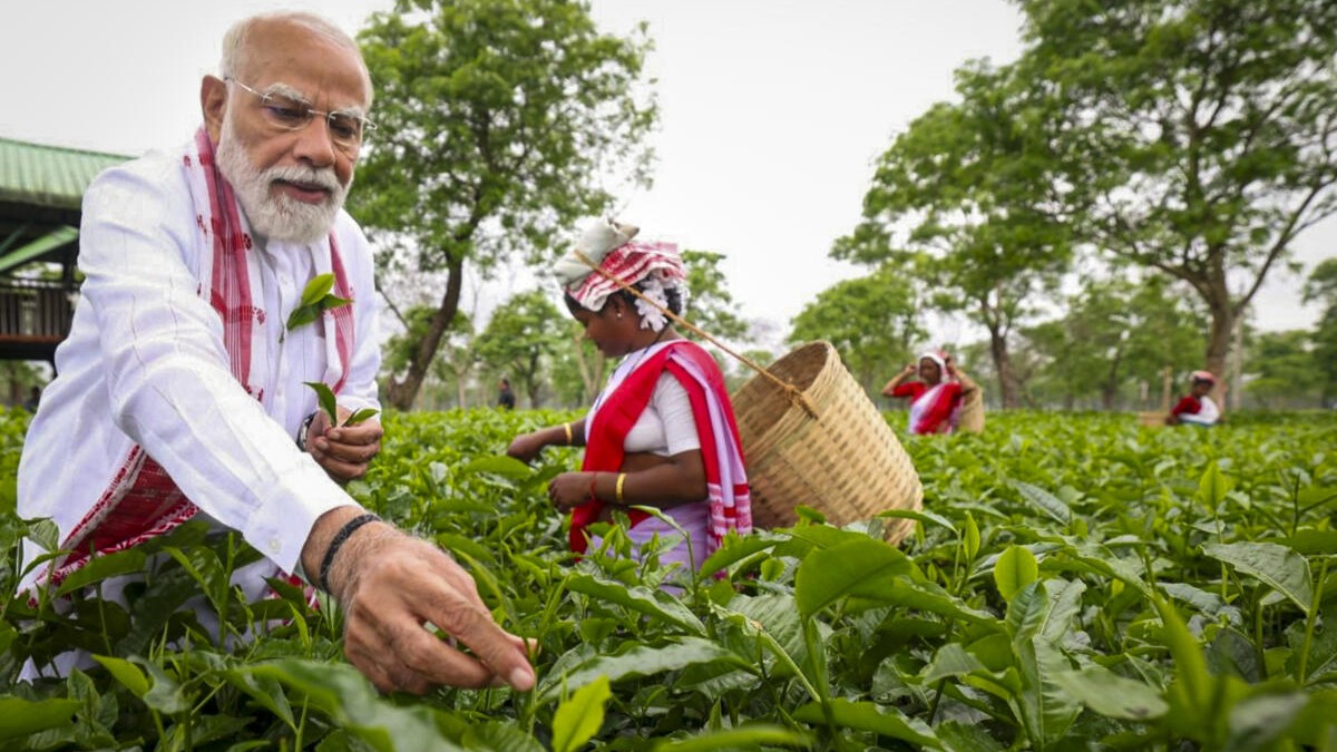 PHOTOS: PM Modi visits tea estate in poll-bound Assam, plucks leaves & interacts with women workers