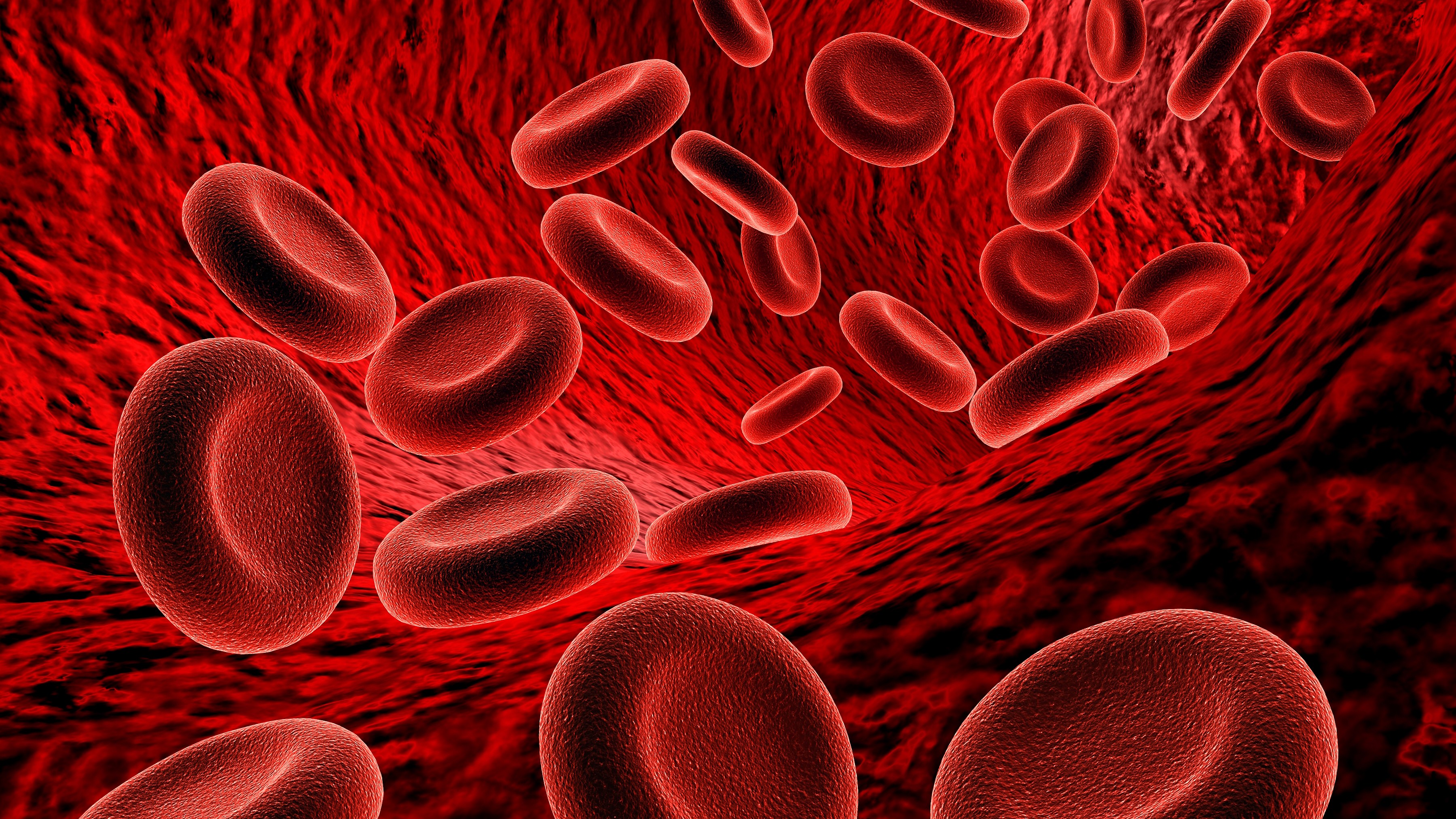 Too many free radicals in blood is not harmless, say experts 