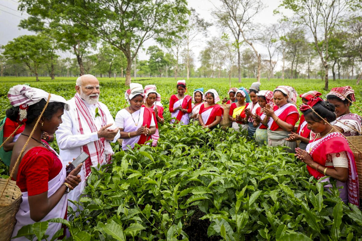 <div class="paragraphs"><p>Credit: X@narendramodi</p></div>