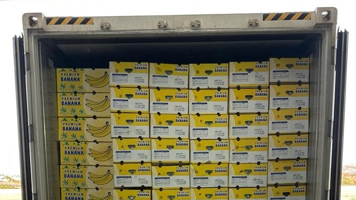 Agrivartan FPO from Indapur exports bananas to Dubai