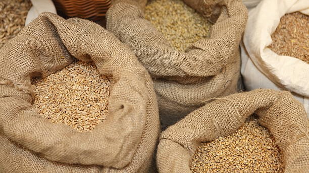 India's wheat production resilient despite setbacks: Agriculture Ministry