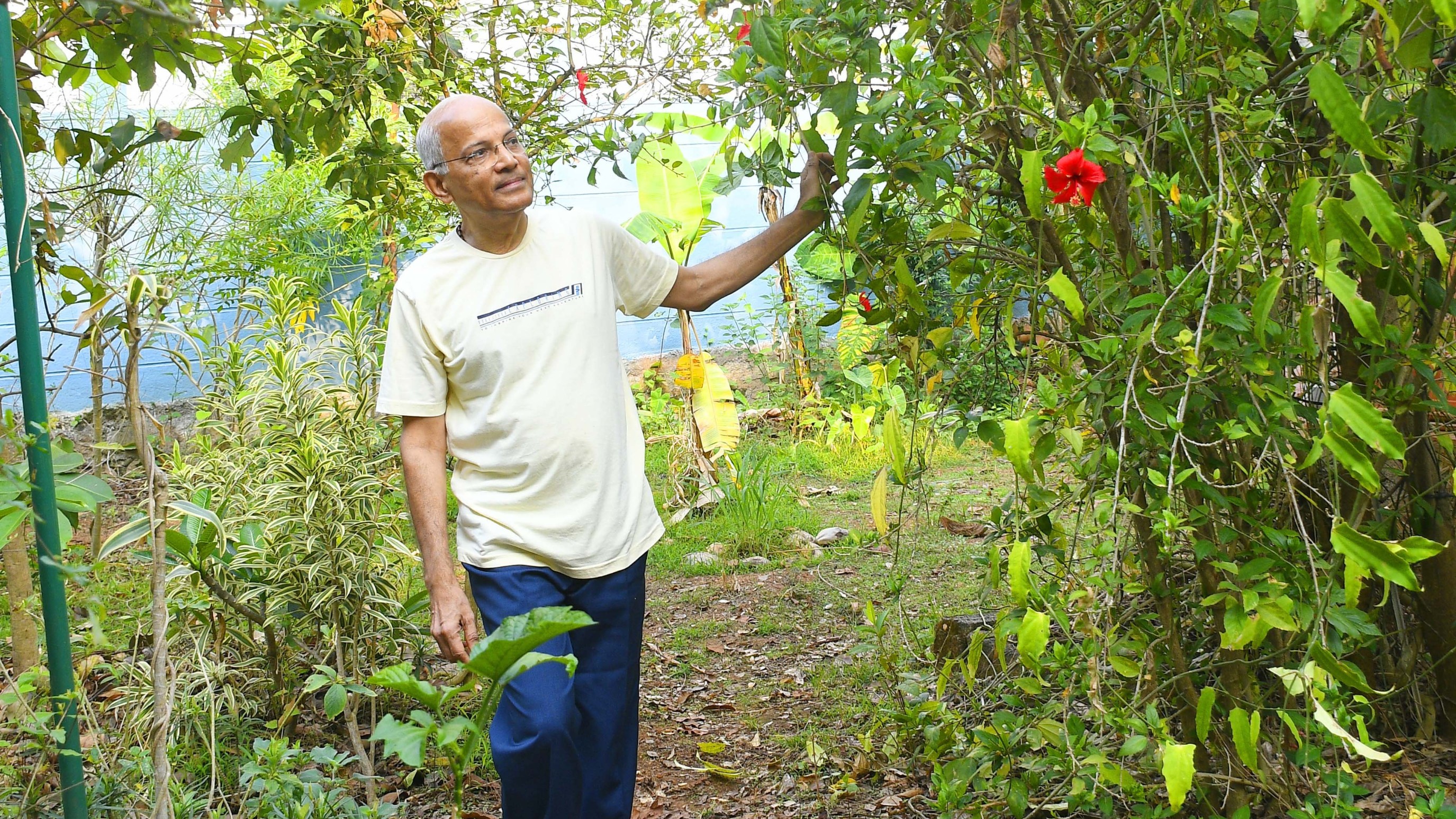 Dr Rathnakar’s jungle is spread over a 50x70-foot plot in Shivamogga. It boasts 50 varieties of flowering and medicinal plants, and a dozen trees reaching 25 feet. 