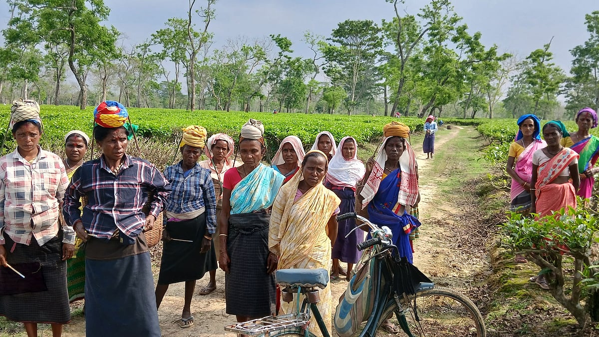 Assam 2026 Polls: Zubeen, Delimitation, Tea Worker Sops to Shape Voter Mood