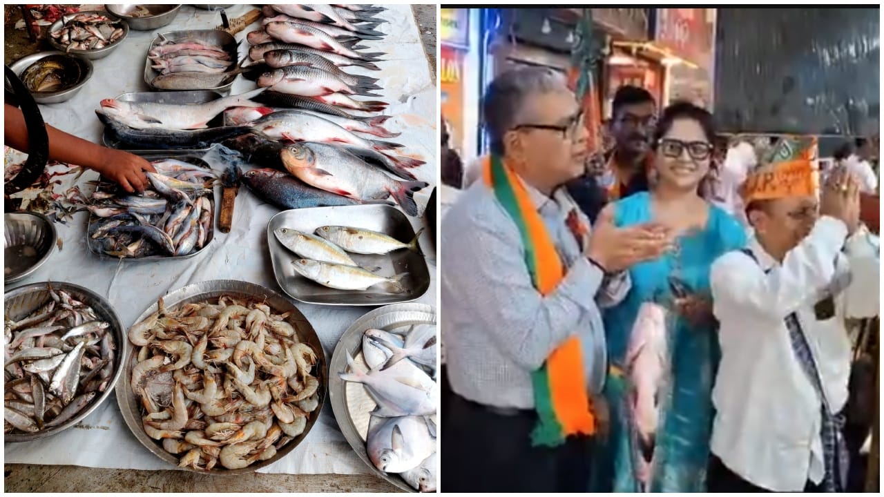 West Bengal Assembly Elections 2026 | 'Fishing' for votes: BJP fights to hook Bengalis, gut TMC's vegetarian outsider narrative 