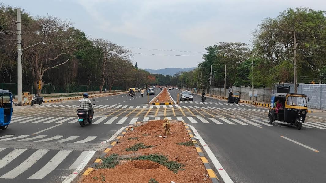 Mysuru’s Hyder Ali road to bloom pink with Tabebuia saplings