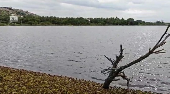 Doddajala Lake restored in 60 days, to boost water security for 20,000 villagers