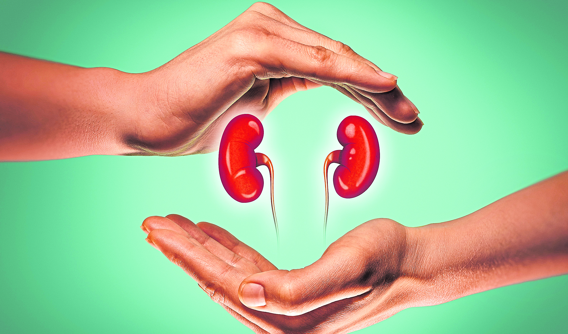 Govt permits multi-pair kidney transplantation in regd centres