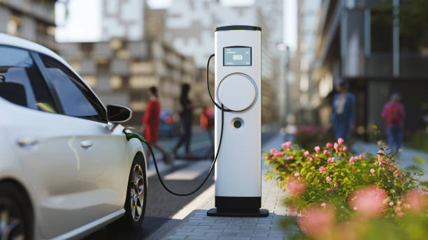 Buyers may spurn EVs due to lifetime tax: Experts