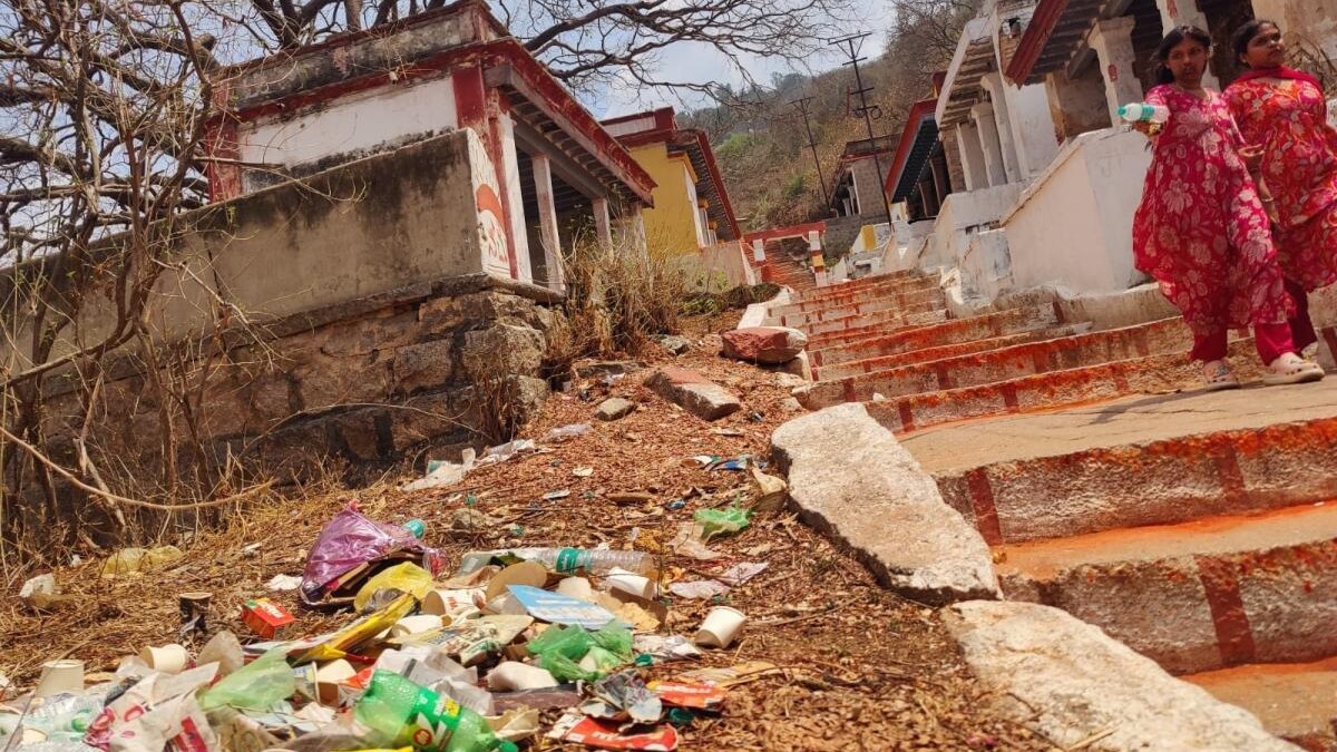 Make Mysuru's Chamundi hill garbage-free; ban private vehicles, demand concerned citizens