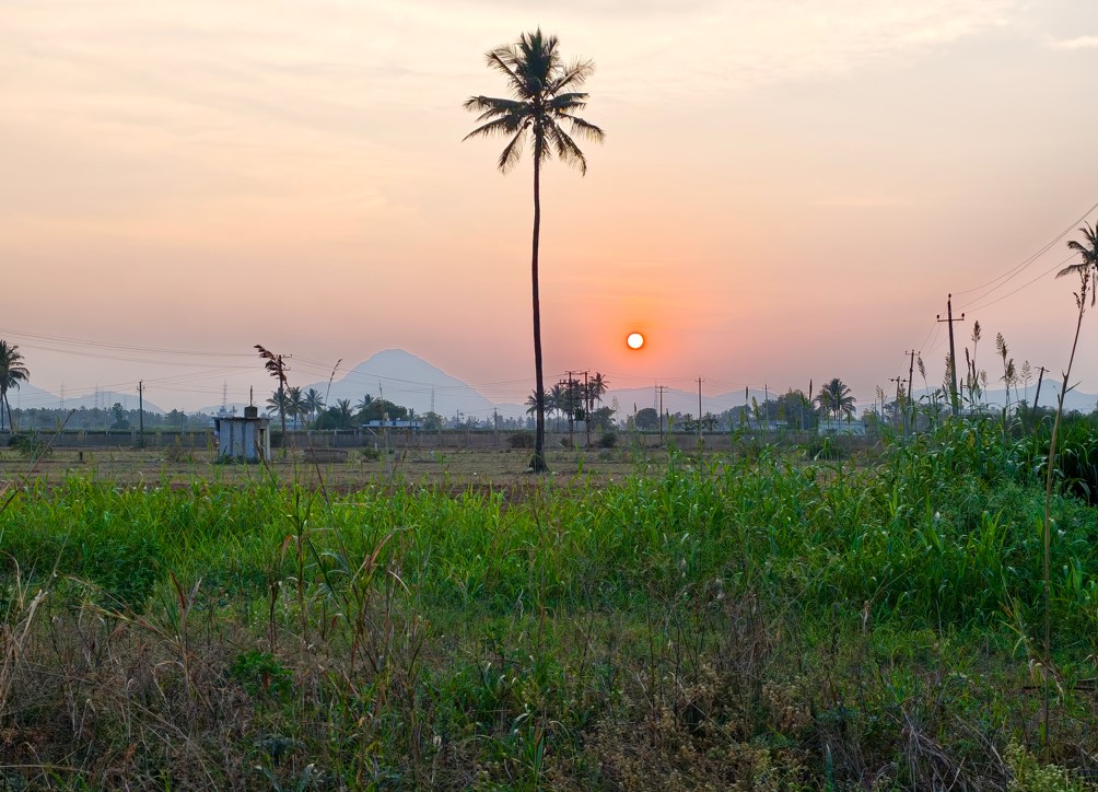 Xiaomi 17's camera sample with 2X zoom.