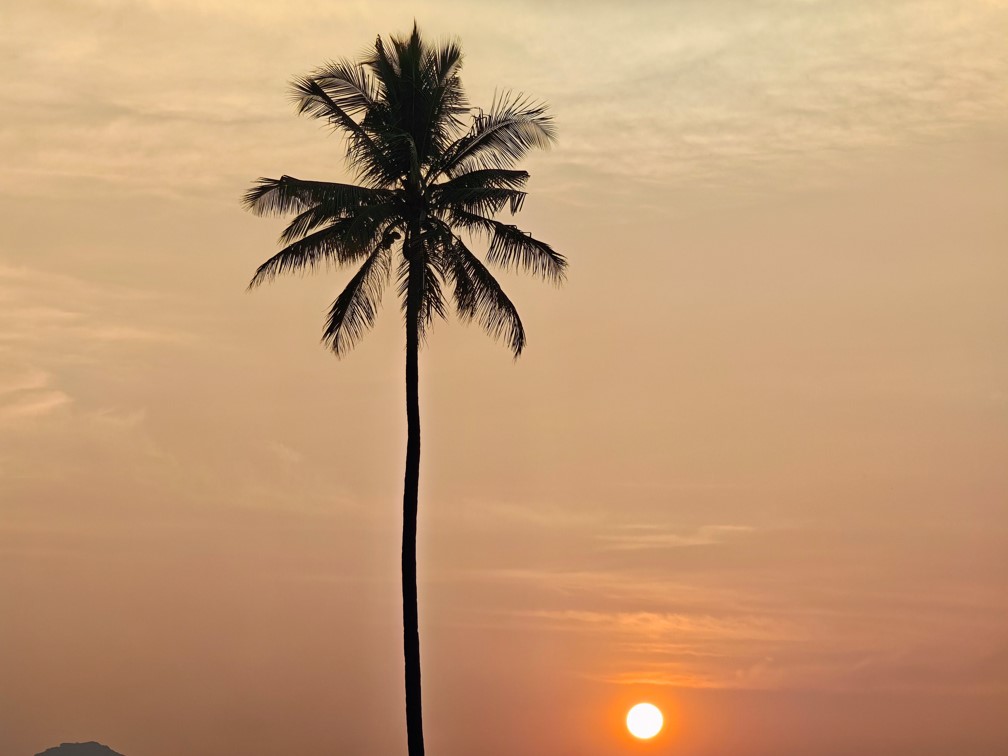 Xiaomi 17's camera sample with 5X zoom.