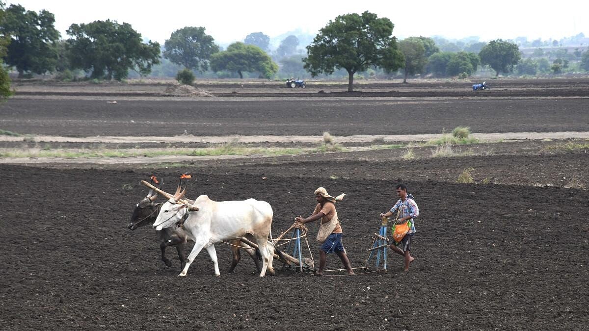 Karnataka Study Validates Carbon Credit Benefits for Farmers, Boosts Sustainable Agriculture