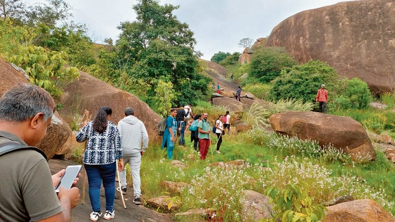No maps or direction boards on trails, complain trekkers 