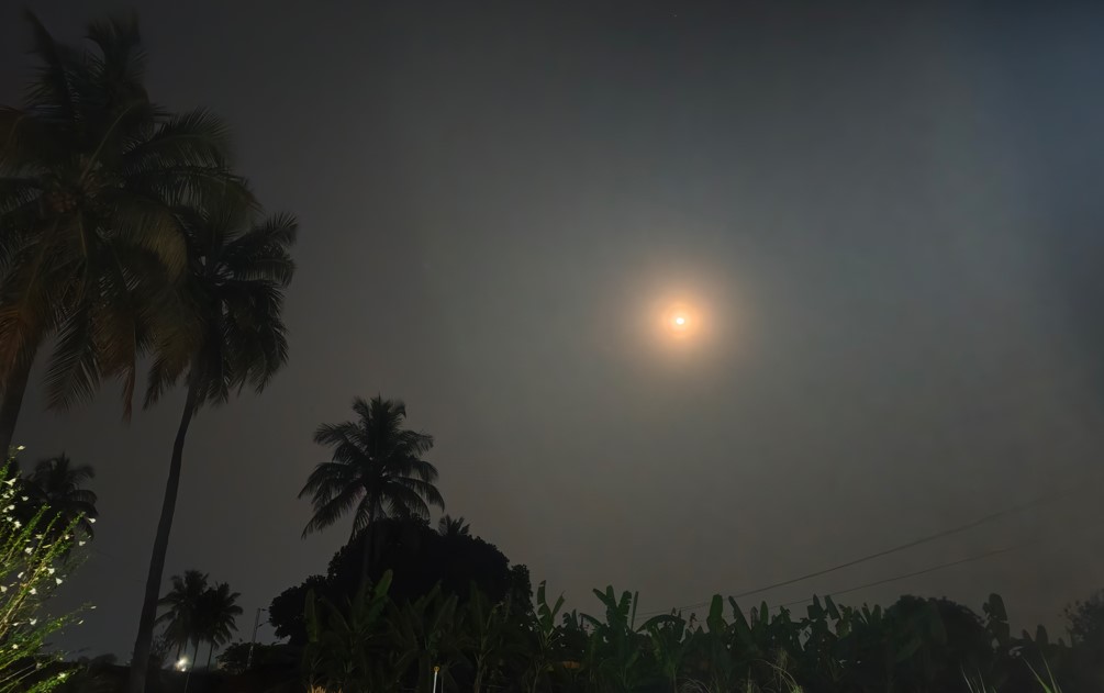 Xiaomi 17's camera sample.