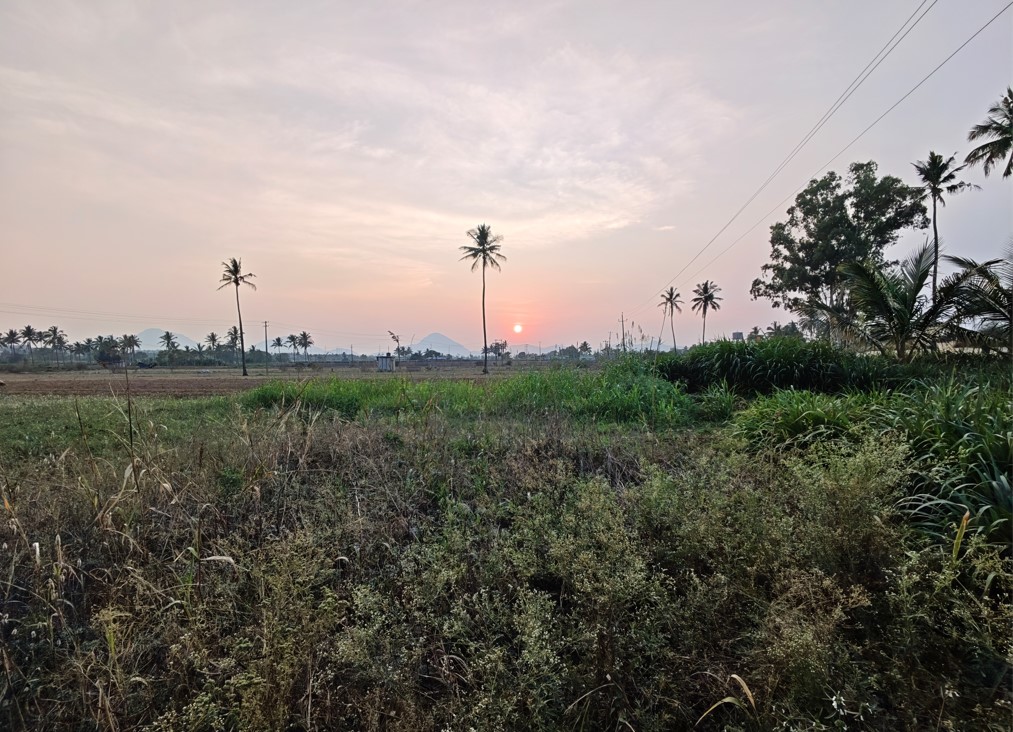 Xiaomi 17's camera sample with ultra-wide angle mode.