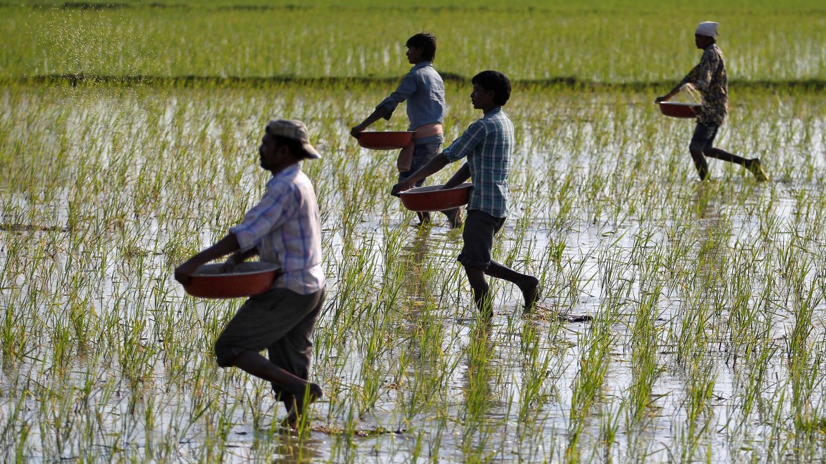 Union Cabinet approves Rs 41,534 crore P&K fertilizers subsidy for kharif 2026 season