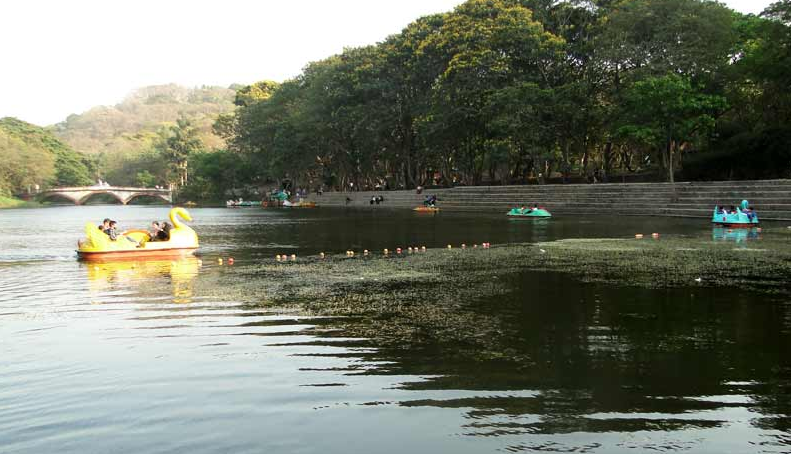River passing through Mumbai's SGNP being rejuvenated