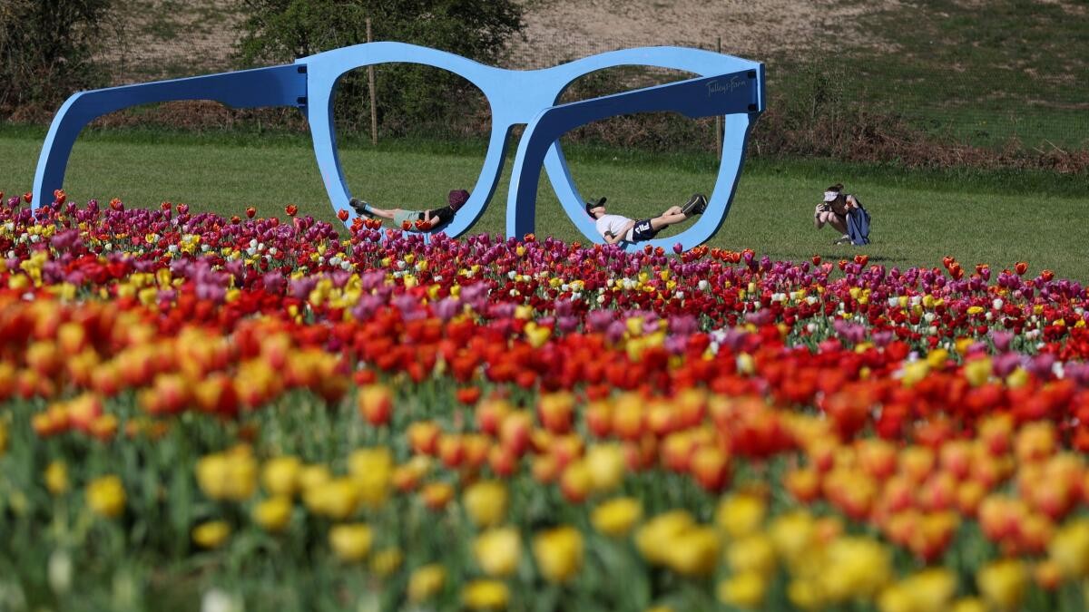News in Pics | April 9, 2026: Best photos from around the world