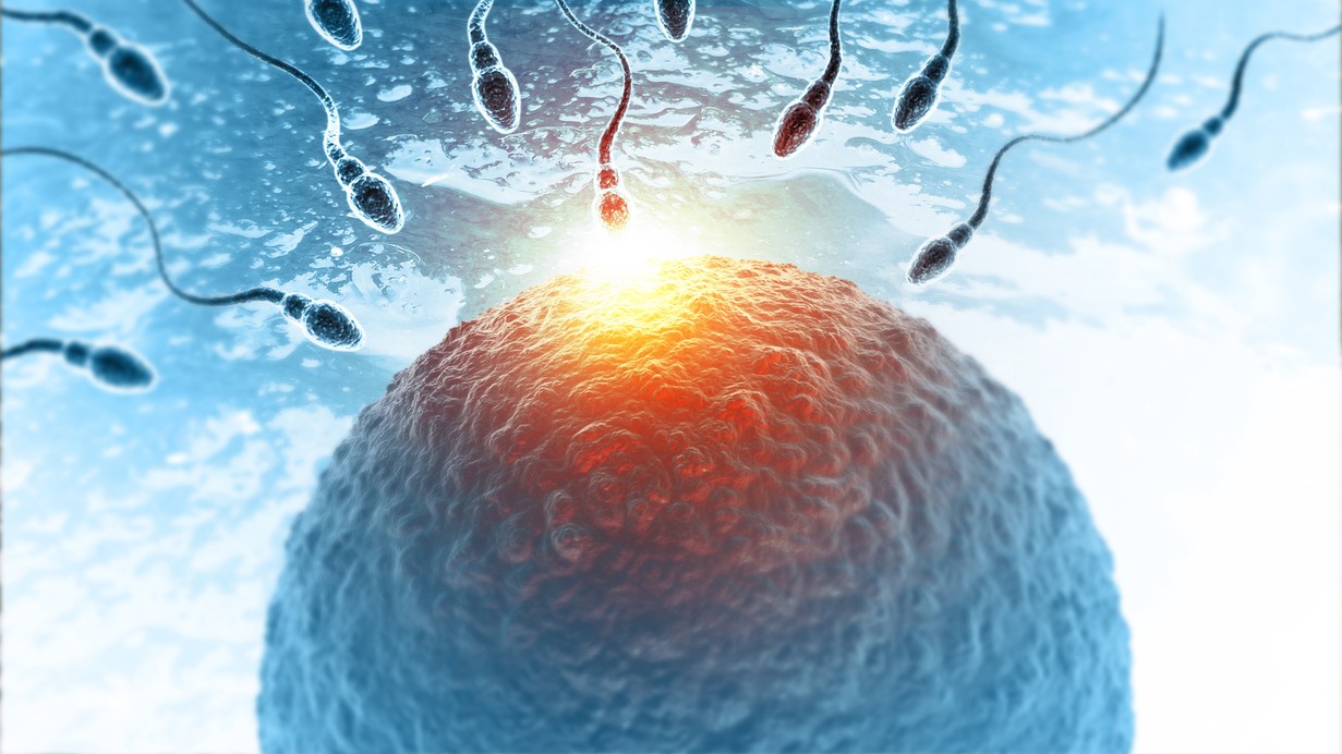 Is biological clock ticking away for fertile women? Fertility expert clears the air 