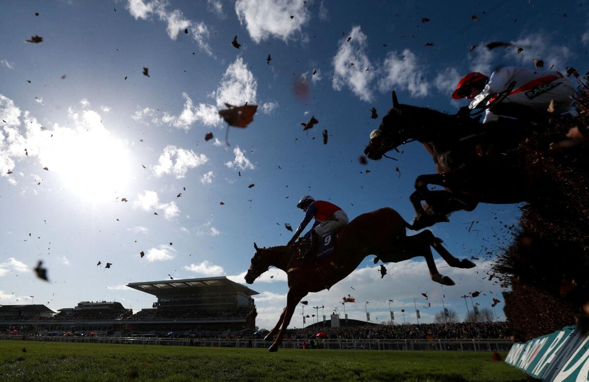Grand National Festival 2026