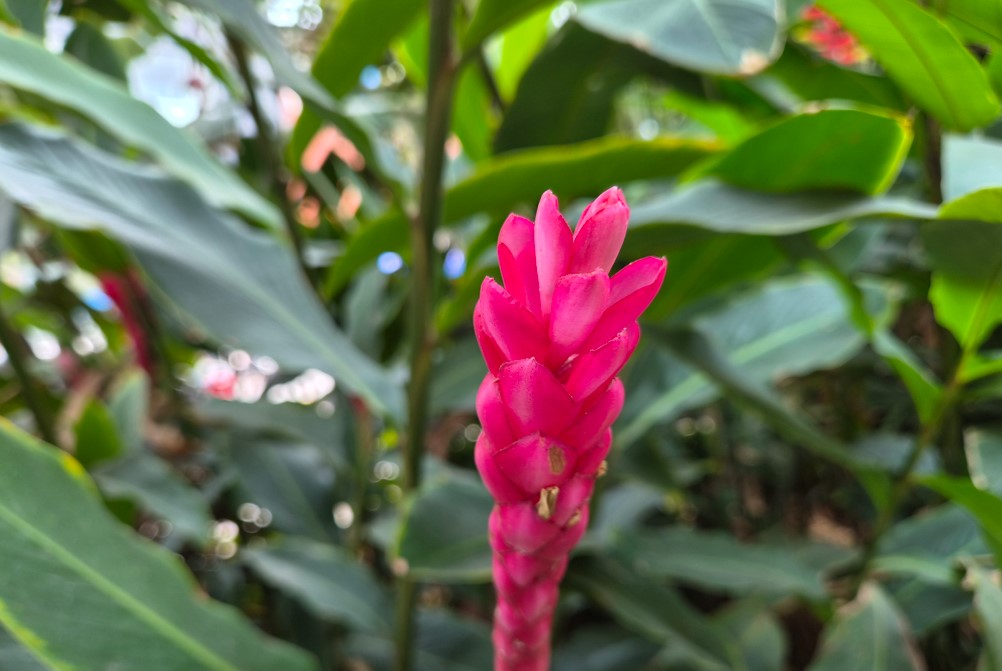 Samsung Galaxy S26+'s camera sample.