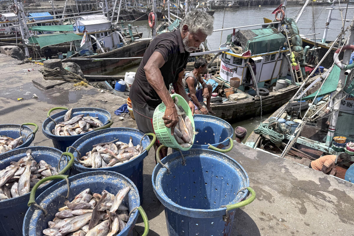 Fishermen sort fish at Sassoon Dock amid a shortage of fuel in the wake of the West Asia war, in Mumbai.