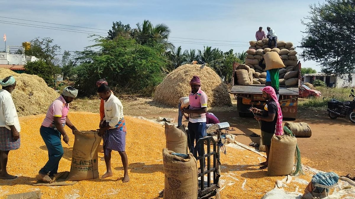 Karnataka Farmers See Major Income Boost from World Bank REWARD Program