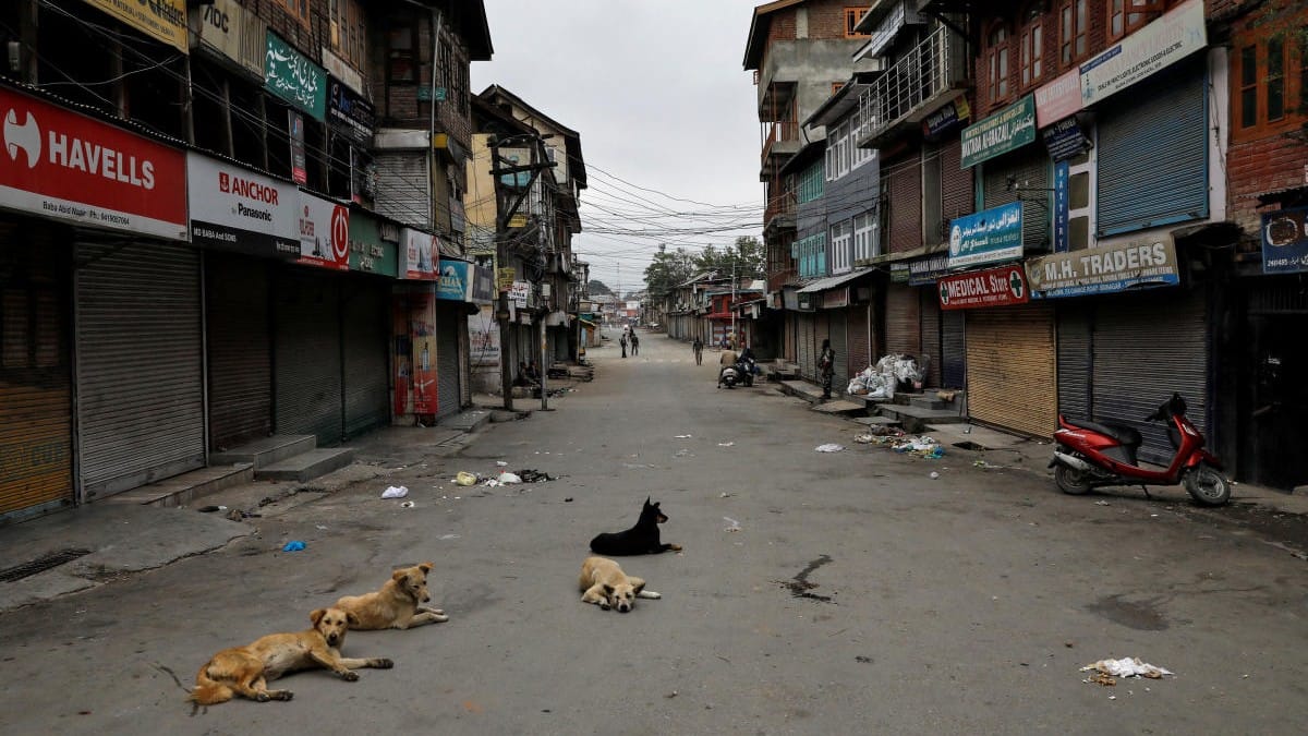 From conflict to companionship: Kashmir’s dogs and cats move indoors