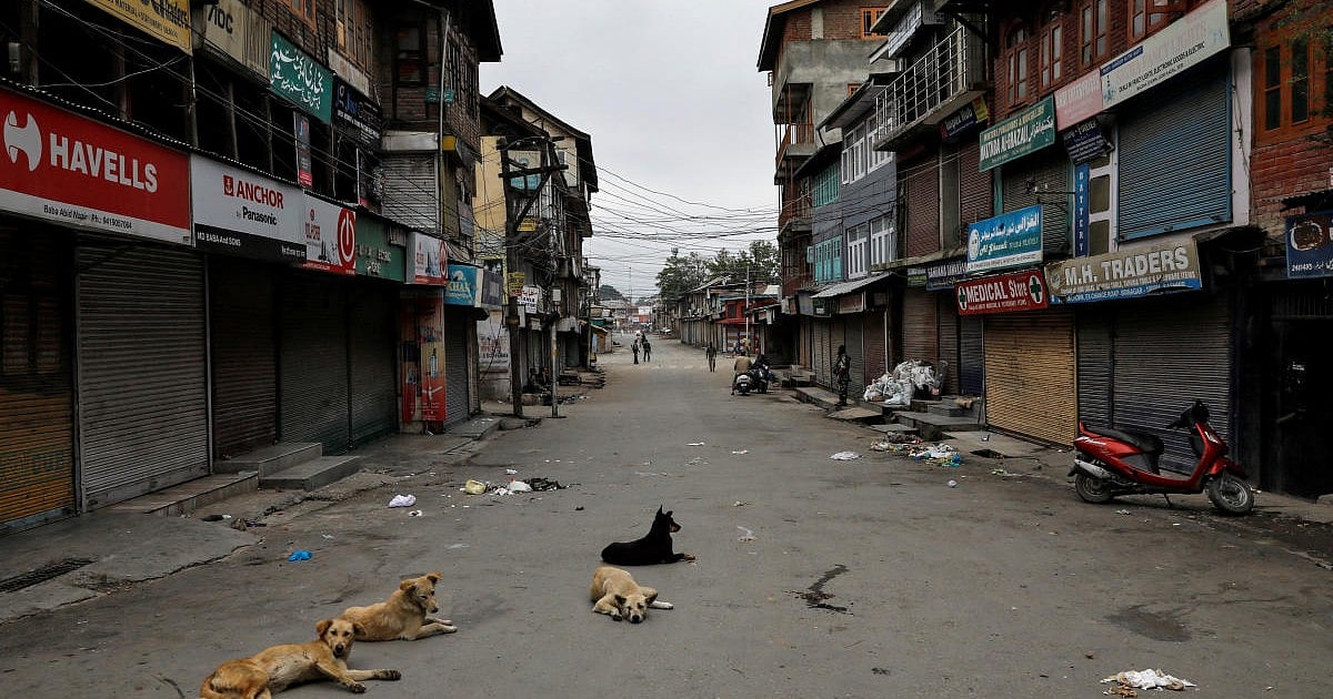 Dari konflik hingga persahabatan: anjing dan kucing Kashmir beraktivitas di dalam rumah