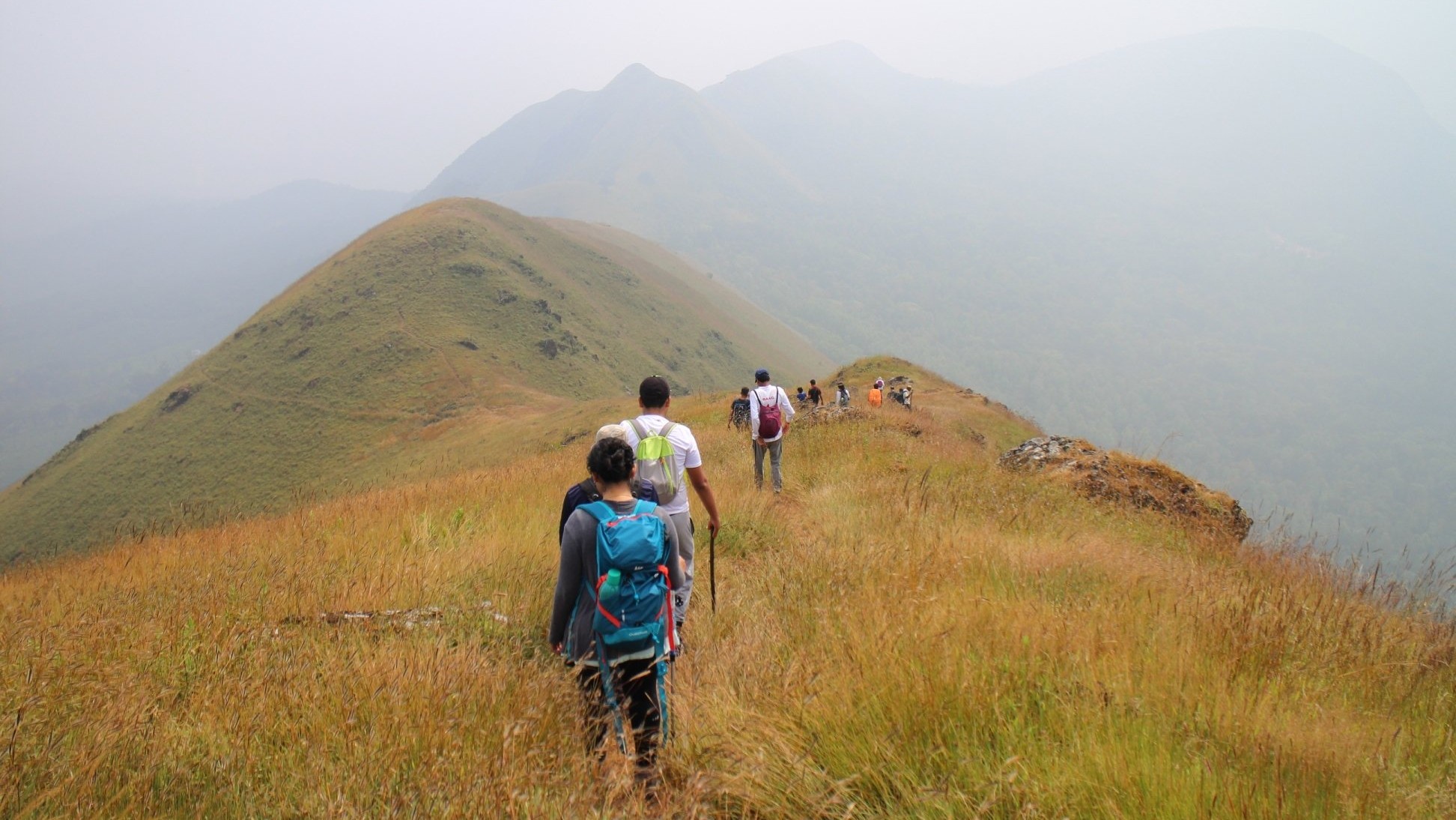 Karnataka: A wild goose chase for forest dept to end trekkers’ ‘jungle raj’