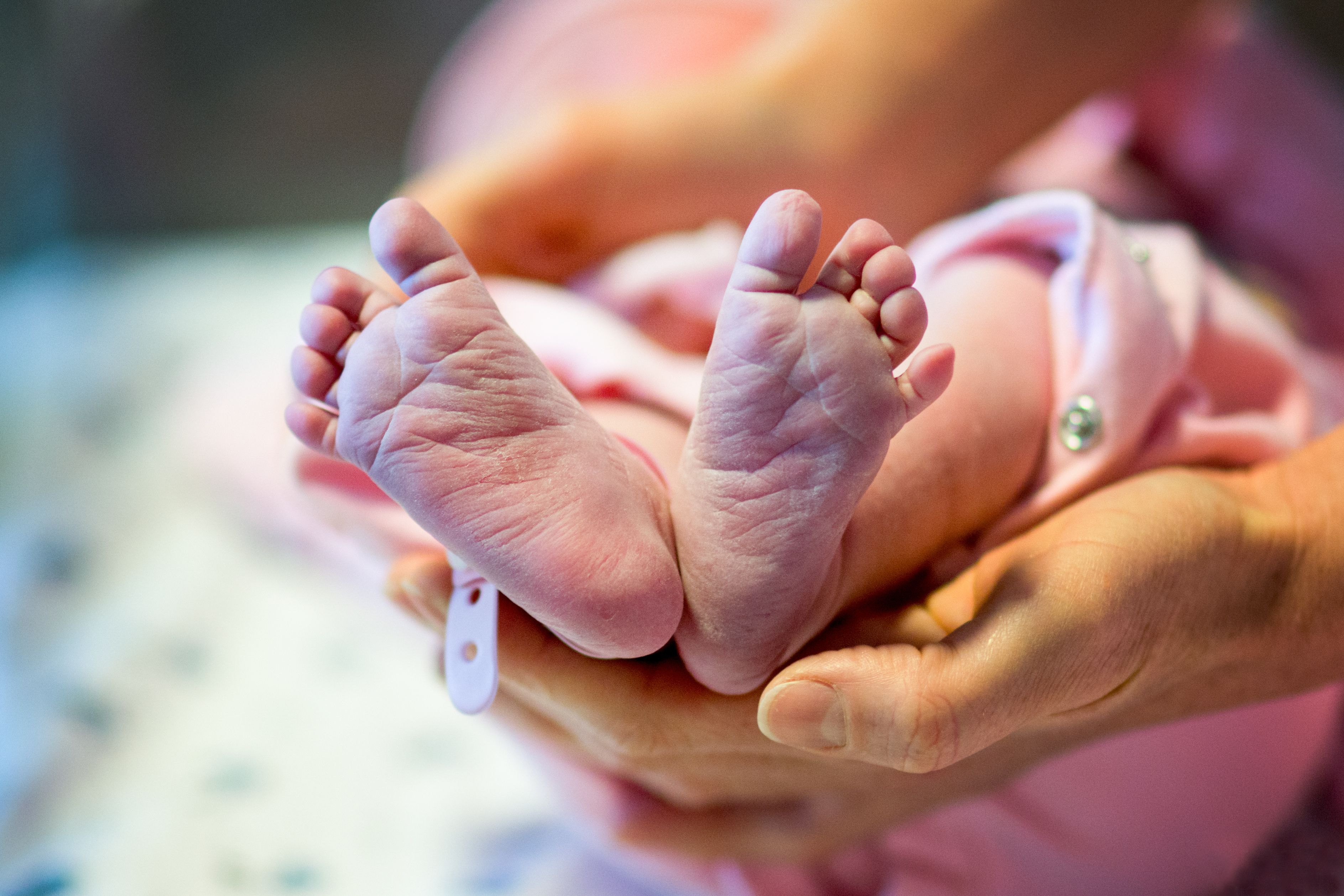 <div class="paragraphs"><p>Credit: iStock</p></div>