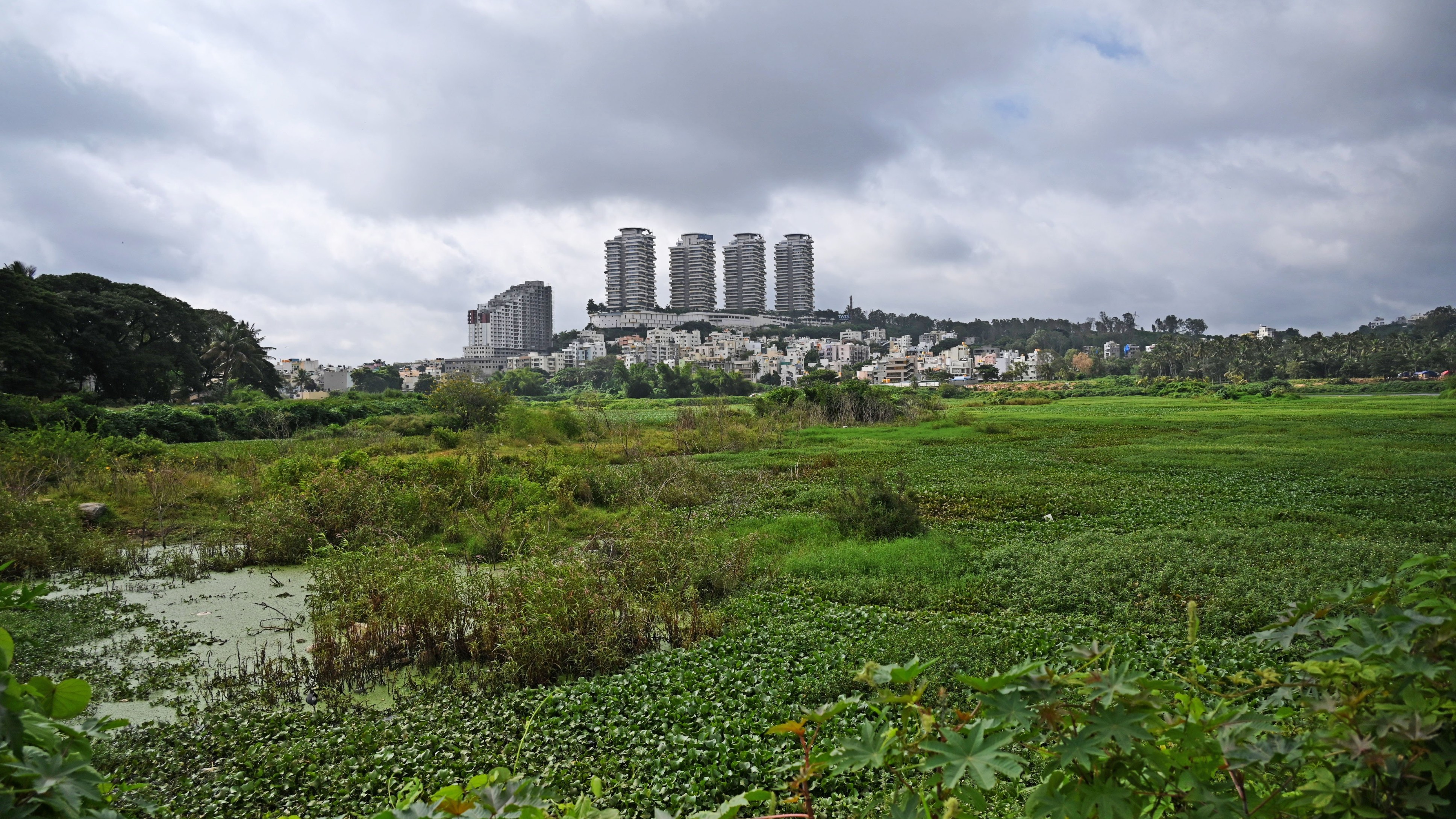 Bangalore Rural MP C N Manjunath urges revival of Hosakerehalli Lake
