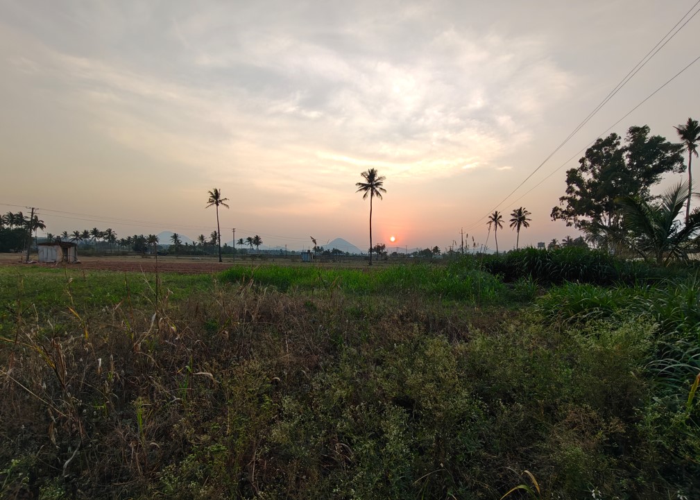 OnePlus Nord 6 camera sample.