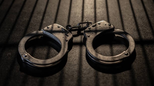 Two delivery executives arrested in Bengaluru for harassing woman on the road 