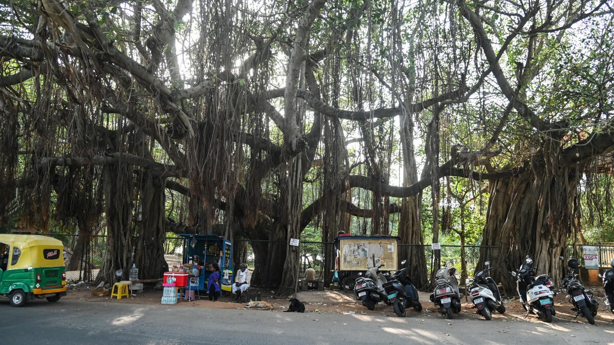 Analyse pros and cons before executing underpass project near Mysuru's Kukkarahalli lake, say activists